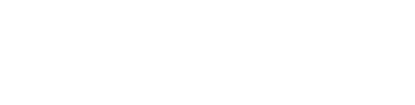 Flow Inspector logo: white